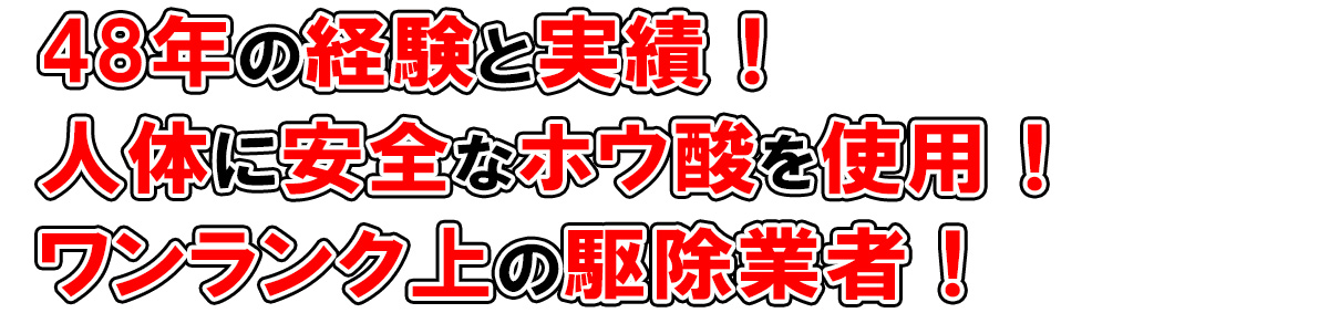 白アリファイターズ・和歌山県橋本市・大阪・奈良