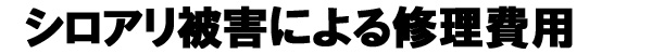 シロアリ被害