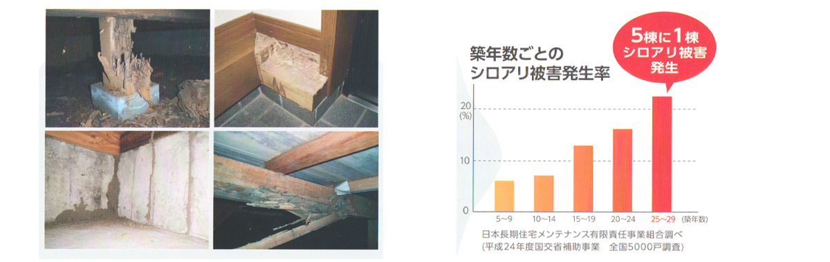 予防は必要か？